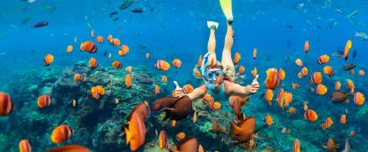Adventurer snorkels through the Belize Barrier Reef as part of her Discovery Tour. Projects Abroad traveller swims through the coral reefs of the Belize barrier Reef.